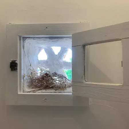 Daire Tradizionale *